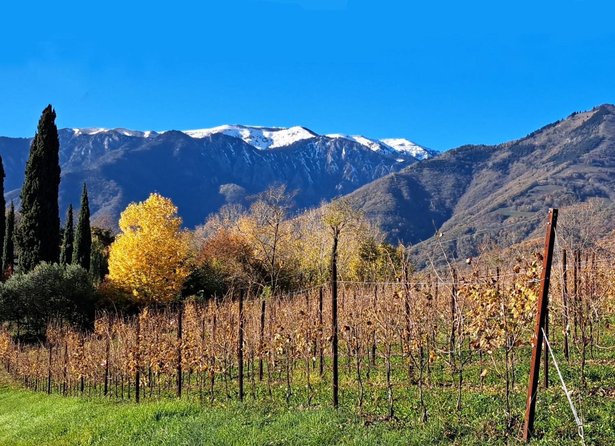 Agriturismo Riva Beata Cavaso Del Tomba Екстер'єр фото