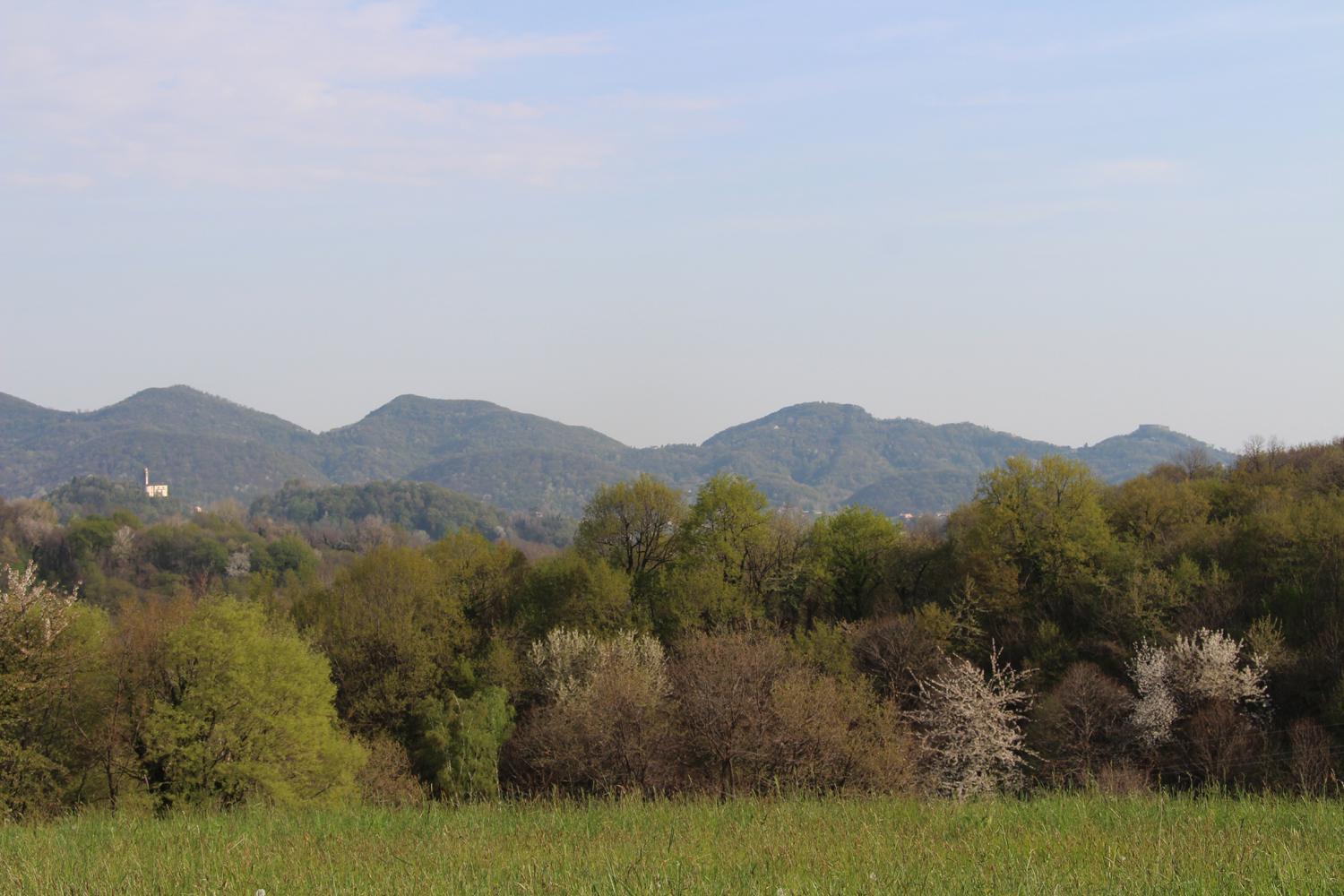 Agriturismo Riva Beata Cavaso Del Tomba Екстер'єр фото
